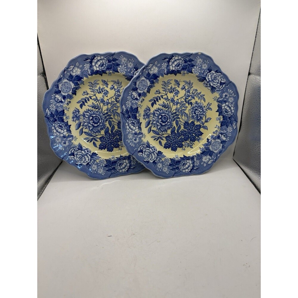 Spode Blue Room Garden Collection two-Piece Floral Porcelain Plates Set 9.5”
